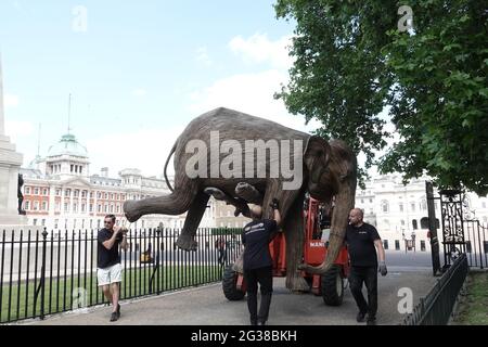 100 Elefantenskulpturen, die 5 Jahre in Anspruch genommen haben, wurden in Londoner Parks transportiert - hier kommt man im St James's Park an Stockfoto