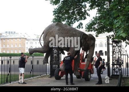 100 Elefantenskulpturen, die 5 Jahre in Anspruch genommen haben, wurden in Londoner Parks transportiert - hier kommt man im St James's Park an Stockfoto