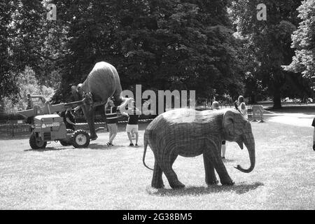 100 Elefantenskulpturen, die 5 Jahre in Anspruch genommen haben, wurden in Londoner Parks transportiert - hier kommt man im St James's Park an Stockfoto