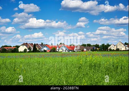 Blick über blühende Wildblumen aus Mohnblumen und Kornblumen zu einem Vorort von Berlin in Deutschland unter einem blauen Himmel mit weißen Wolken. Stockfoto