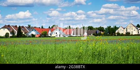 Blick über blühende Wildblumen aus Mohnblumen und Kornblumen zu einem Vorort von Berlin in Deutschland unter einem blauen Himmel mit weißen Wolken. Stockfoto