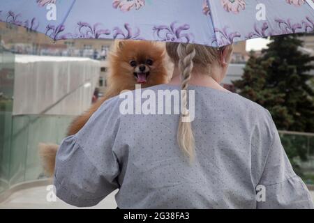 Moskau, Russland. 14. Juni 2021 EINE Frau geht an einem heißen Sommertag mit einem Hund unter einem Regenschirm im Zentrum von Moskau, Russland Stockfoto