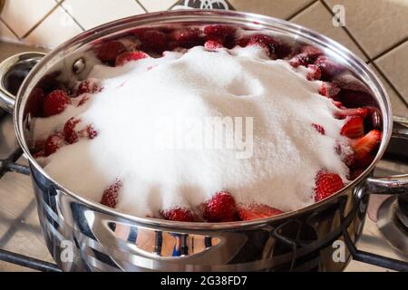 Erdbeermarmelade zu Hause machen - Haufen Erythritol auf Früchten im Edelstahltopf auf Herd. Schritt 3 von 4. Stockfoto
