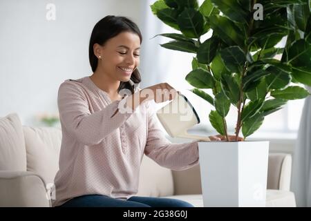 Glücklicher professioneller Gärtner, der sich um Zimmerpflanzen kümmert Stockfoto