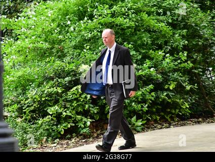 London, Großbritannien. Juni 2021. Chris Whitty nimmt am 14. Juni 2021 an der Downing Street 10 Teil, London, Großbritannien. Kredit: Picture Capital/Alamy Live Nachrichten