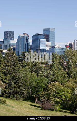 Glastürme im Geschäftsviertel der Innenstadt von Calgary mit Bäumen des Riley Park im Vordergrund Stockfoto