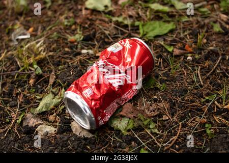 WEISSRUSSLAND, NOVOPOLOTSK - 14. JUNI 2021: Zerknitterte Coca-Cola-Dose im Gras aus nächster Nähe Stockfoto