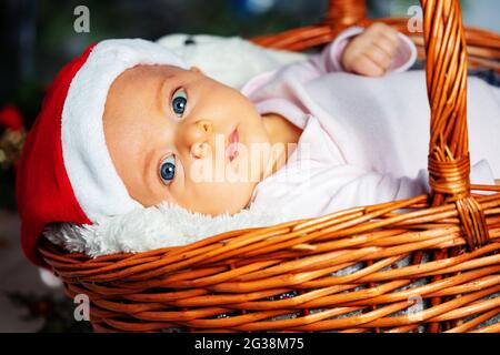 Porträt eines kleinen Mädchens im Korb unter dem NY-Baum Stockfoto