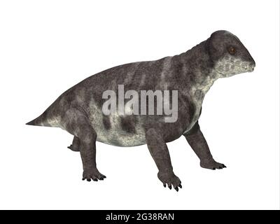 Criocephalosaurus war ein therapsider Dinosaurier, der während der Perm-Periode Südafrikas lebte. Stockfoto