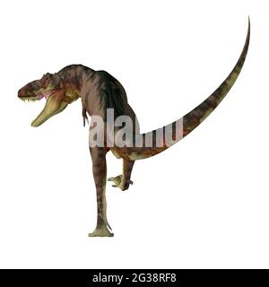 Daspletosaurus war eine fleischfressende Theropode Saurier, die in Nordamerika in der Kreidezeit lebten. Stockfoto
