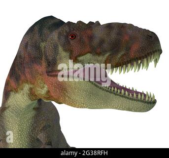Daspletosaurus war eine fleischfressende Theropode Saurier, die in Nordamerika in der Kreidezeit lebten. Stockfoto
