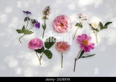 Feminine sommerliche florale Komposition. Gartenblumen und Kräuter isoliert auf weißem Tischhintergrund im Sonnenlicht. Bunte Rosen, Salbei, Pfingstrose und Geranie Stockfoto