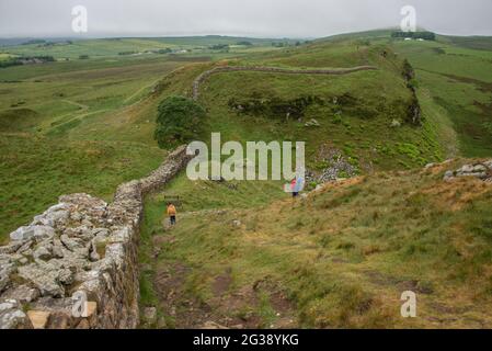 Überreste der Hadrian's Wall, der antiken römischen Grenzmauer durch Nordengland, während sie die Hügel hinunter zum berühmten malerischen Punkt Sycamore Gap westlich des römischen Forts Housesteads schlängeln. Der Hadrian's Wall Path verläuft entlang des gesamten UNESCO-Weltkulturerbes und ist einer der beliebtesten Wanderwege in England. Der berühmte Baum wurde 2023 durch einen Akt des Vandalismus gefällt. Stockfoto