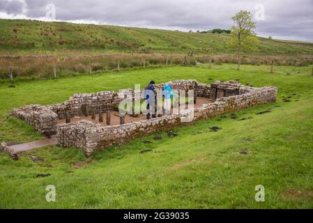 Die Ruinen des Tempels von Mithras vor dem ehemaligen römischen Fort Procolitia an der Hadriansmauer. Stockfoto