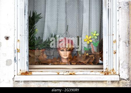 In einem Fenster in Venedig befindet sich ein Puppenkopf mit trockenen Blättern, Kakteen und Plastikblumen als Dekoration mit einem Vorhang als Hintergrund Stockfoto