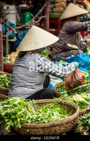 Verkäuferin für frisches Gemüse, Markt, Hoi an, Vietnam Stockfoto