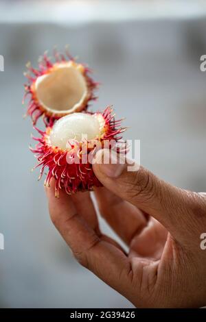 Litschi Obst, Markt geöffnet, Hoi An, Vietnam Stockfoto