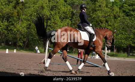 Junge Mädchen Reiter auf braunem Pferd im Reitsport Wettbewerb. Reiten auf der Arena. Dressurprüfung. Reitwettbewerbe, Pferdeumweg.Mädchen Stockfoto