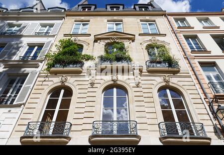 Traditionelle französische Haus mit typischen Balkonen und Fenstern. Paris, Frankreich. Stockfoto