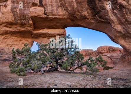 Partition Arch, Arches-Nationalpark, Utah, USA Stockfoto