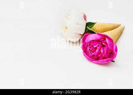 Zwei Pfingstrosen-Blumen in Waffeleis-Kegel auf weißem Holzhintergrund. Muttertag, Valentinstag, Bachelorette, Sommerkonzept. Speicherplatz kopieren, oben vi Stockfoto