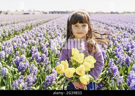 Kleines Mädchen, das gelbe Tulpen auf Hyazinthfeldern hält Stockfoto