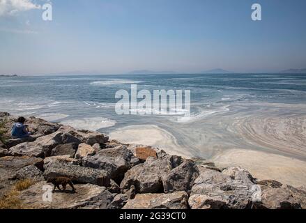 Istanbul. Juni 2021. Das am 11. Juni 2021 aufgenommene Foto zeigt Schleim, bekannt als Seesnot im Marmarameer vor Istanbul, Türkei. Die Türkei hat sich bereit gemacht, den Schleim zu bekämpfen, der das Marmarameer in der dicht besiedelten Industrieregion des Landes heimsucht. Quelle: Osman Orsal/Xinhua/Alamy Live News Stockfoto