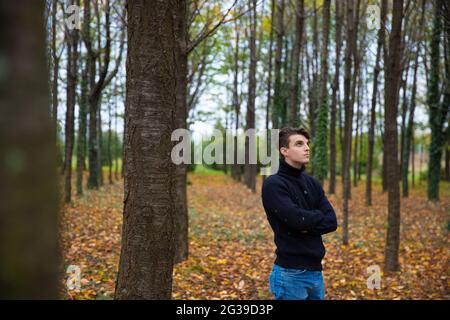 Ein junger Mann mit gefalteten Armen schaut in den Himmel und steht in einem Herbstwald, die Blätter sind gelb und sind von den Bäumen gefallen, er trägt einen Wollschwitze Stockfoto