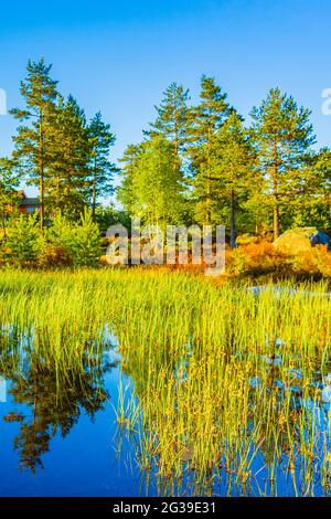 Morgenaufgang mit Spiegelung im Seenfluss in der Naturlandschaft Norwegens in Treungen Urlaubsresort in Nissedal Norwegen. Stockfoto