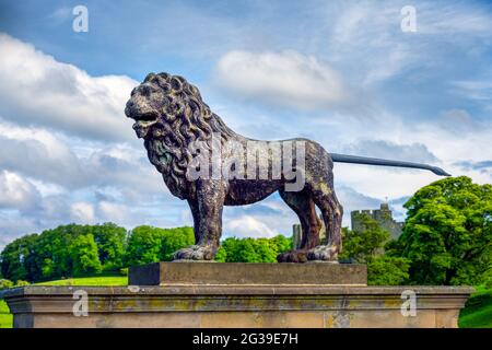 ALNWICK, ENGLAND - 10. JUNI 2021: Statue eines Löwen mit Schloss Alnwick im Hintergrund Stockfoto