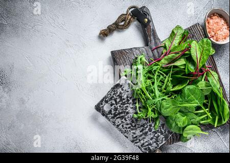 Frisches, gemischtes Gemüse, Spinat, mangold und Rucola. Weißer Hintergrund. Draufsicht. Speicherplatz kopieren Stockfoto