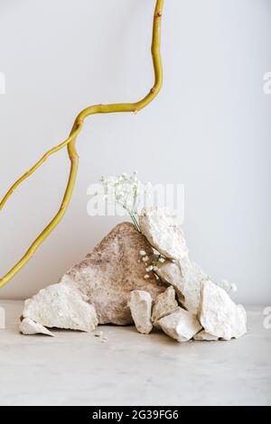 Kreative Boho Stillleben Komposition mit natürlichen Materialien Stein Holz Blume Pflanze trockene Äste an der grauen Wand. Sockel aus Steinen. Zusammenfassung Stockfoto