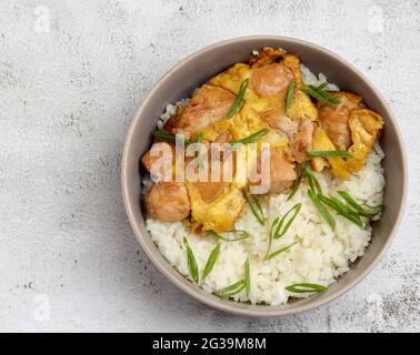 Oyakodon Schüssel mit Reis mit Huhn und Eiern auf einem hellgrauen Hintergrund gekrönt. Draufsicht, flach liegend Stockfoto