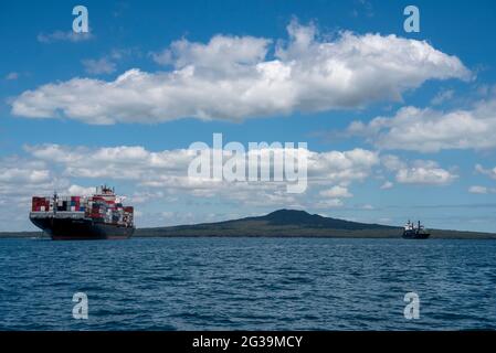 Container Schiffe vor Anker im Hauraki Golf. Auckland, Neuseeland. Stockfoto