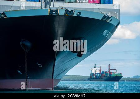 Container Schiffe vor Anker im Hauraki Golf. Auckland, Neuseeland. Stockfoto