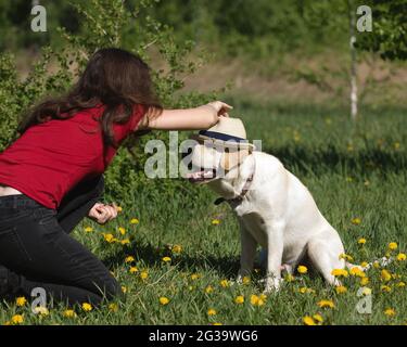 Labrador Hund mit Mädchen Besitzer verbringen Tag im Park spielen und Spaß haben. Witziger Hund im Hut. Verspieltes Haustier im Freien. Stockfoto