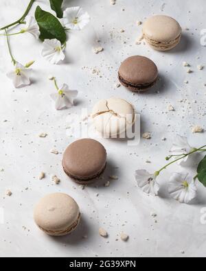 Vanille und Schokolade französische Macarons mit Blumen auf weißem Hintergrund. Französisches Dessert. Stockfoto