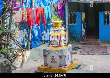 Farbenfrohe Tulsi Vrindavan heilige Basilikumpflanze außerhalb des hindu-Hauses, Agonda, Goa, Indien Stockfoto