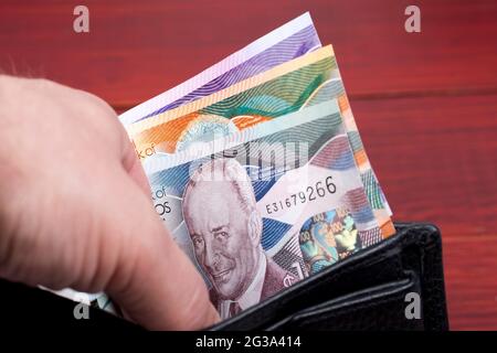 Barbados-Dollar in der schwarzen Brieftasche Stockfoto