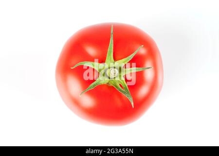 Frische Tomaten, isoliert auf weißem Hintergrund Stockfoto