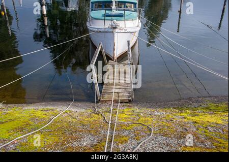 Te Anau Marina, Fiordland, Neuseeland. Bunte Szene, Freizeitboot und Gehweg, gesichert durch mehrere Anlegestellen in klarem, ruhigem Wasser Stockfoto