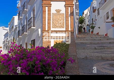 Ein Blick auf das maurisch-mudéjar-Viertel von Frigiliana, bestehend aus steilen gepflasterten Gassen, die sich an weißen Häusern mit Blumen verschlungen haben, Spanien Stockfoto