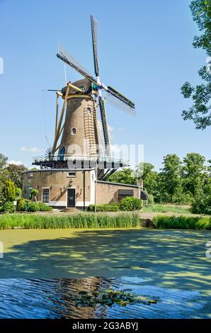 Geervliet, Niederlande, 12. Juni 2021: Die Bernisse Windmühle spiegelt sich an einem sonnigen Tag im angrenzenden Teich Stockfoto