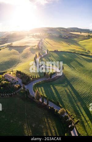 Luftaufnahme der ikonischen Zypressenstraße von Monticchiello bei Sonnenaufgang. Pienza, Orcia-Tal, Siena, Toskana, Italien, Europa. Stockfoto