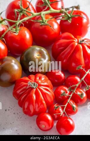 Auswahl an reichen reifen roten Tomaten, Rindertomaten, isoliert auf einem einfachen Hintergrund Stockfoto