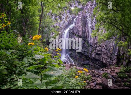 Frische Bojana Wasserfälle im tiefen Wald und Fels, Vitosha, Bulgarien Stockfoto
