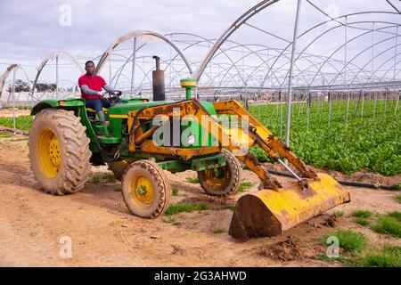 afroamerikanischer Mann, der an einem Gartentraktor arbeitet Stockfoto