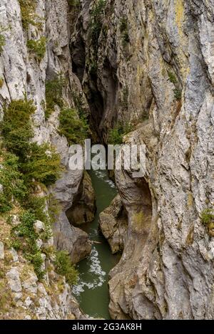 Schlucht Congosto de Obarra (Foz d'Obarra) mit dem Fluss Isábena (Isábena-Tal, Huesca, Aragon, Spanien) ESP: TRAMO del Congosto de Obarra, Foz d'Obarra Stockfoto