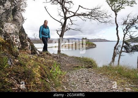 Walker auf dem Silver Walk mit Castle Tioram am Loch Moidart im Hintergrund, Ardnamurchan, Peninsular, Schottland, Großbritannien Stockfoto