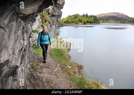 Walker auf dem Silver Walk entlang Loch Moidart, Ardnamurchan, Peninsular, Schottland, Großbritannien Stockfoto